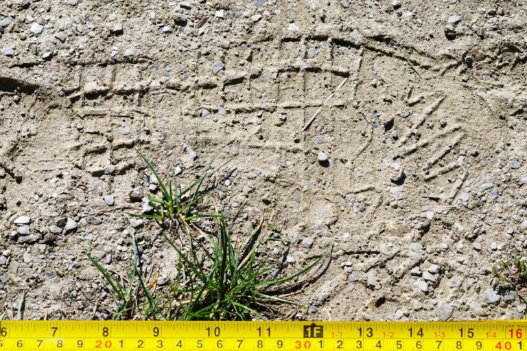 Zbrodnie w białych rękawiczkach - największe oszustwa finansowe w historii