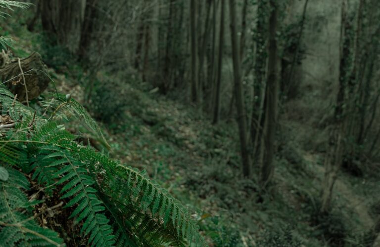 Historia cenzury w PRL - czego nie wolno było pisać i mówić?